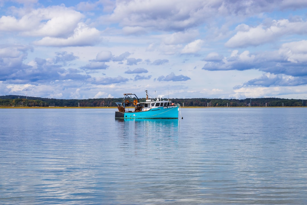 Boat batteries