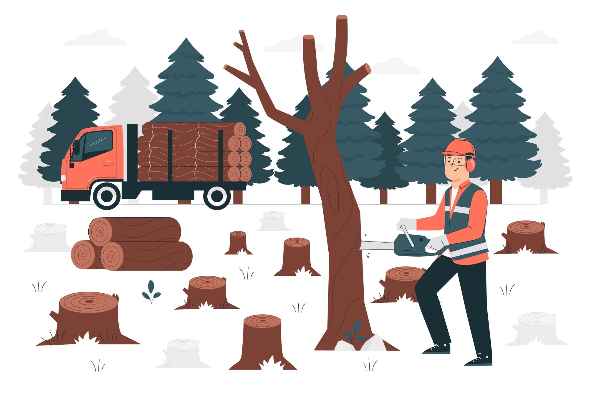 Tree care Services