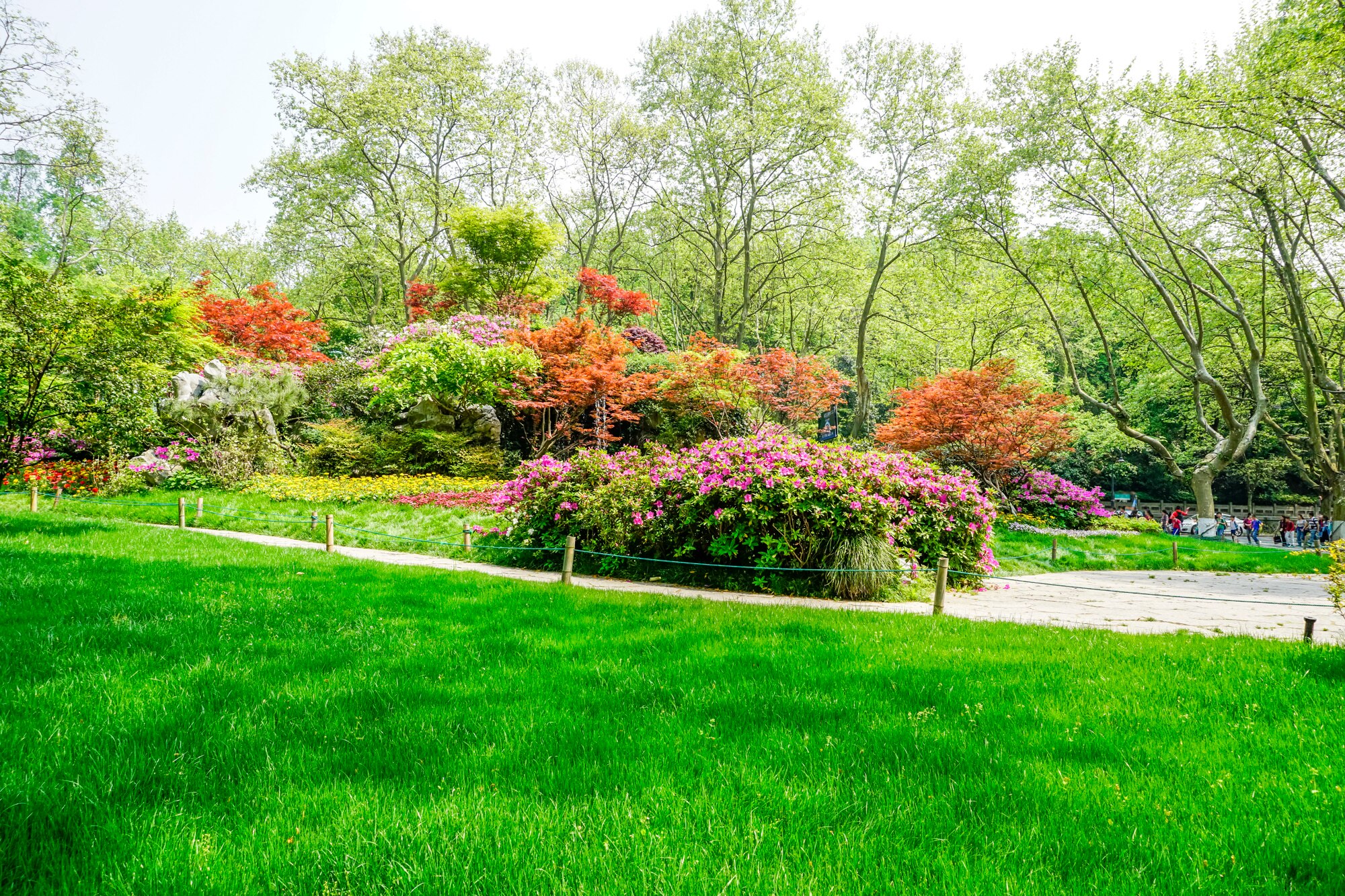 Landscaping
